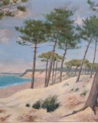 Vue Du Bassin DArcachon
